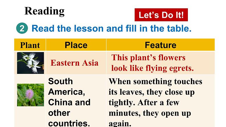 冀教版初中英语八下Unit 2 Lesson 11  Amazing Plants课件+教案+素材07