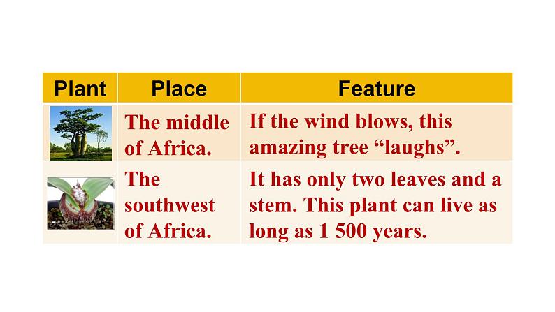 冀教版初中英语八下Unit 2 Lesson 11  Amazing Plants课件+教案+素材08