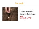冀教版初中英语八下Unit 2 Lesson 12  Danny’s Plant课件+教案+素材