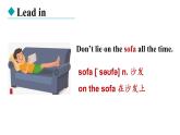 冀教版初中英语八下Unit 3 Lesson 13  Danny’s Big Scare课件+教案+素材