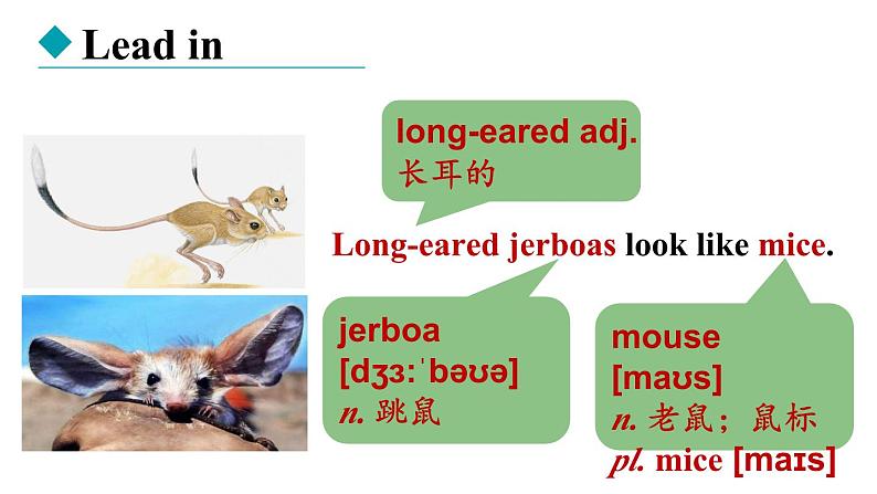 冀教版初中英语八下Unit 3 Lesson 14  Amazing Animals课件+教案+素材03