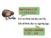 冀教版初中英语八下Unit 3 Lesson 14  Amazing Animals课件+教案+素材
