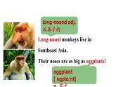 冀教版初中英语八下Unit 3 Lesson 14  Amazing Animals课件+教案+素材