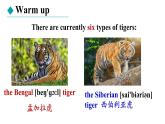 冀教版初中英语八下Unit 3 Lesson 17  Save the Tigers课件+教案