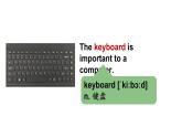 冀教版初中英语八下Unit 4 Lesson 19  How Do You Use the Internet课件+教案