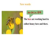 冀教版初中英语八下Unit 8 Lesson 47  Connected to Nature课件+教案+素材