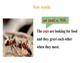 冀教版初中英语八下Unit 8 Lesson 47  Connected to Nature课件+教案+素材