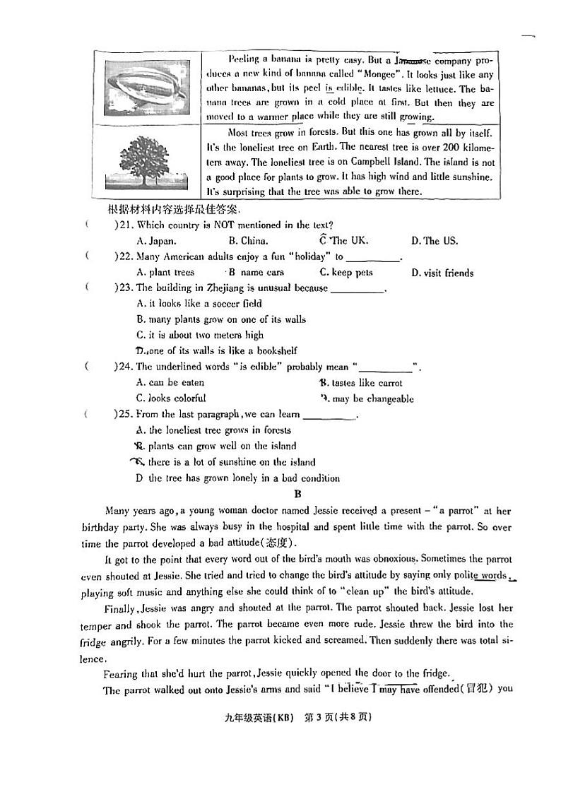 河南省信阳市羊山中学2024-2025学年上学期九年级英语9月月考试题第3页