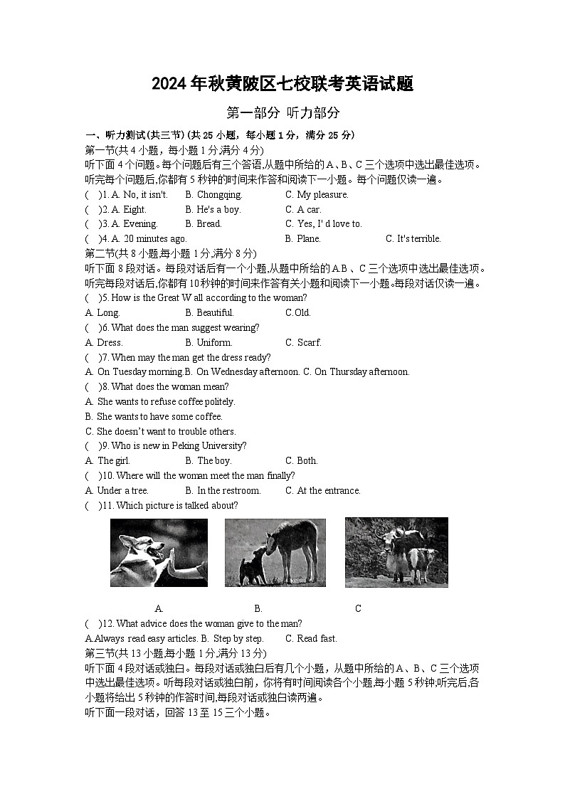 湖北省武汉市 黄陂区七校联盟2024-2025学年九年级上学期10月月考英语试题01