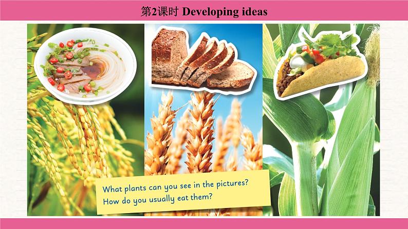 Unit 6 The power of plants Developing ideas 课件 2024-2025学年外研版（2024）七年级英语上册第3页