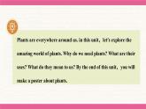 Unit 6 The power of plants Understanding ideas 课件 2024-2025学年外研版（2024）七年级英语上册
