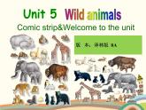译林版英语八年级上册Unit 5 Wild animal 第一课时课件