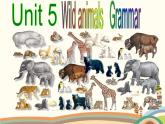 译林版英语八年级上册Unit 5 Wild animals Grammar课件