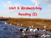 译林版英语八年级上册Unit 6 Birdwatching Birdwatching课件