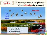 译林版英语八年级上册Unit 6 Birdwatching Birdwatching课件