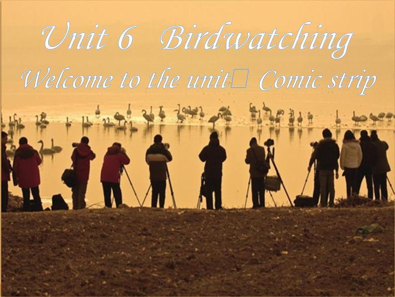 译林版英语八年级上册Unit 6 BirdwatchingWelcome to the unit课件01