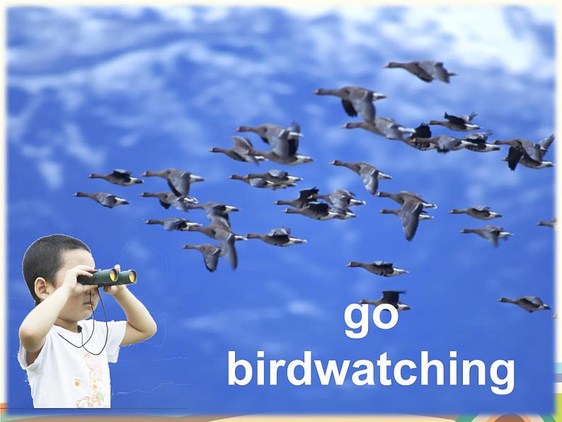 译林版英语八年级上册Unit 6 BirdwatchingWelcome to the unit课件07