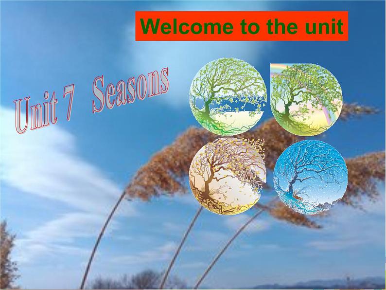 译林版英语八年级上册Unit7 Seasons 第一课时课件01
