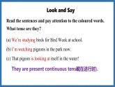 Unit 5  Fantastic friends Lesson 2 Grammar (課件)--2024-2025學年外研版(2024)英語七年級上冊
