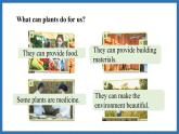 Unit 6  The power of plants Lesson 1 Starting out Reading (課件)--2024-2025學(xué)年外研版(2024)英語(yǔ)七年級(jí)上冊(cè)