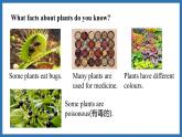 Unit 6  The power of plants Lesson 1 Starting out Reading (課件)--2024-2025學(xué)年外研版(2024)英語(yǔ)七年級(jí)上冊(cè)