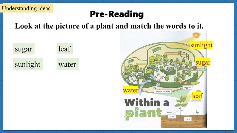 Lesson 1 Starting out+Reading第7页