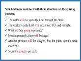 Unit 6  The power of plants Lesson 2 Grammar (課件)--2024-2025學(xué)年外研版(2024)英語(yǔ)七年級(jí)上冊(cè)