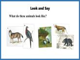 Unit 5  Fantastic friends Lesson 4 Reading for writing (課件)--2024-2025學年外研版(2024)英語七年級上冊