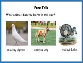 Unit 5  Fantastic friends Lesson 5 Presenting ideas (課件)--2024-2025學年外研版(2024)英語七年級上冊