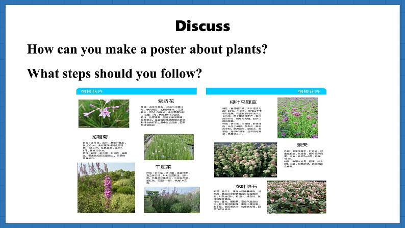 Unit 6  The power of plants Lesson 5 Presenting ideas (课件)--2024-2025学年外研版(2024)英语七年级上册05