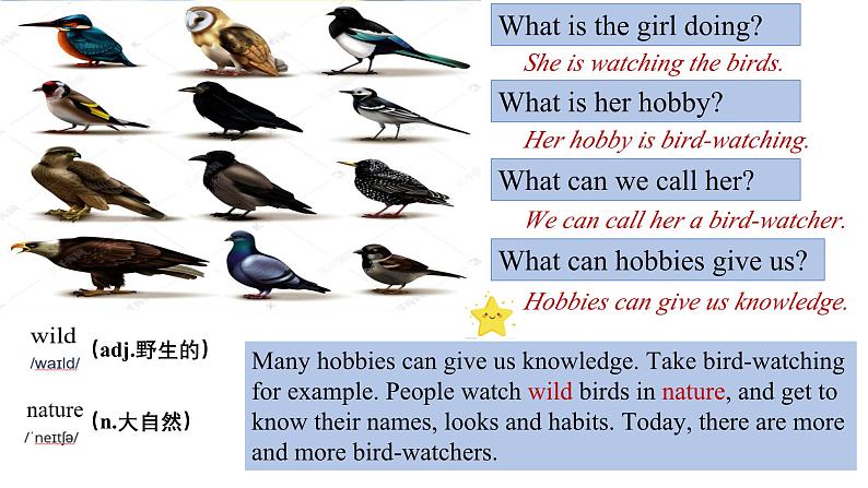 【优质听说公开课课件+新课标教学设计】Unit 2 More than fun Developing Ideas Listening&speaking（含音频）新外研版七上英语03