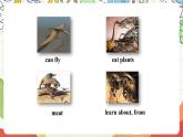 滬教牛津版（六三制三起）英語八上Unit  1  Encyclopaedias  Writing 課件