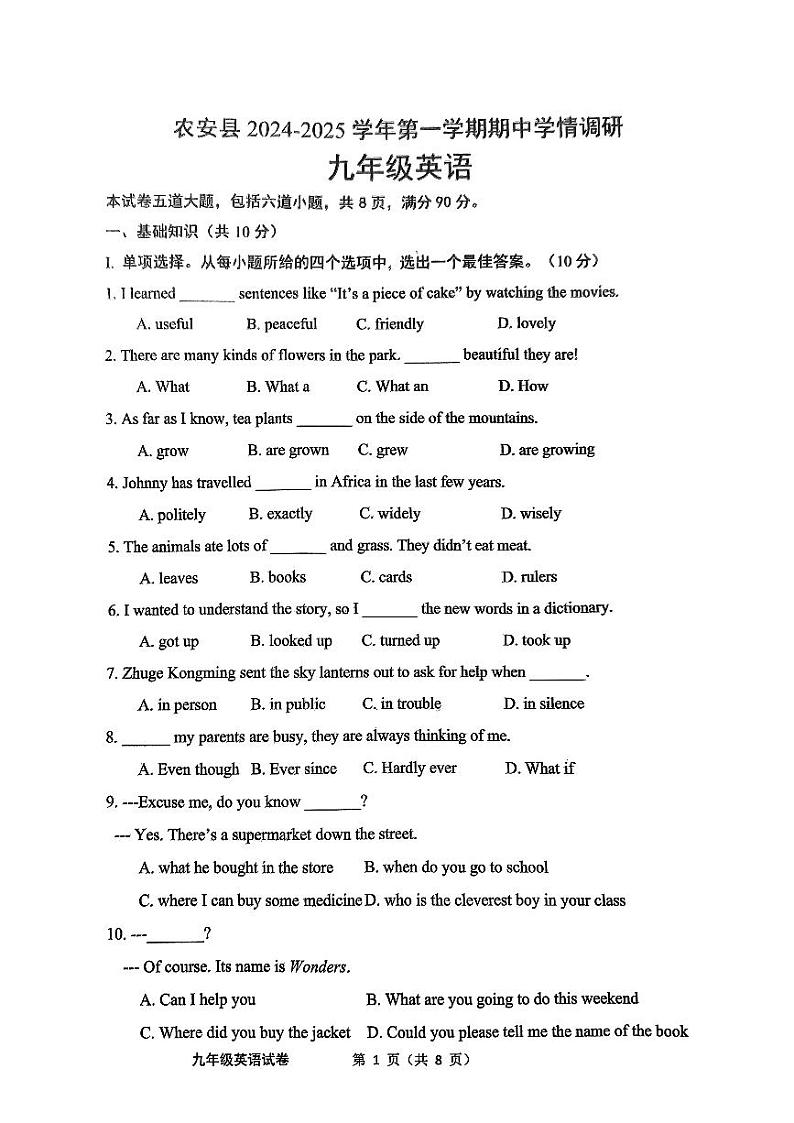吉林省长春市农安县2024-2025学年上学期期中学情调研九年级英语试题01