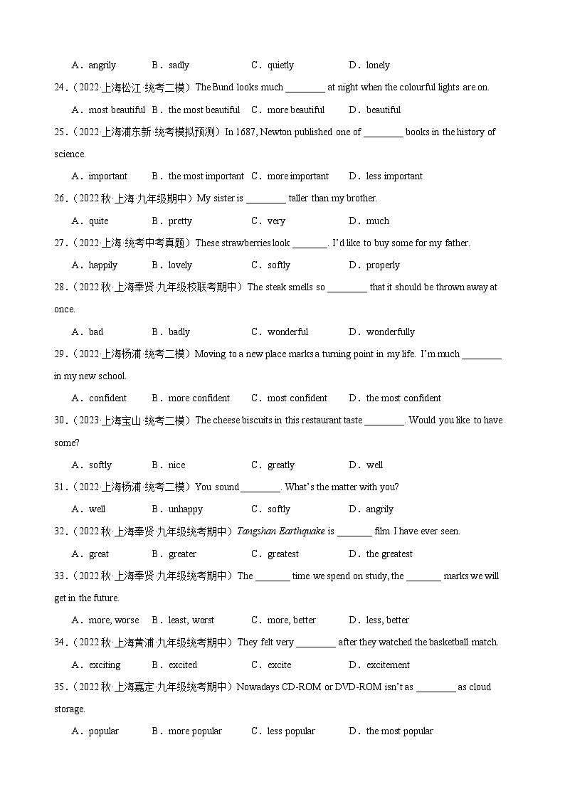 05 形容词&副词 提高巩固（模拟真题100道）2025学年中考英语一轮总复习（上海专用）（学生版无答案）第3页