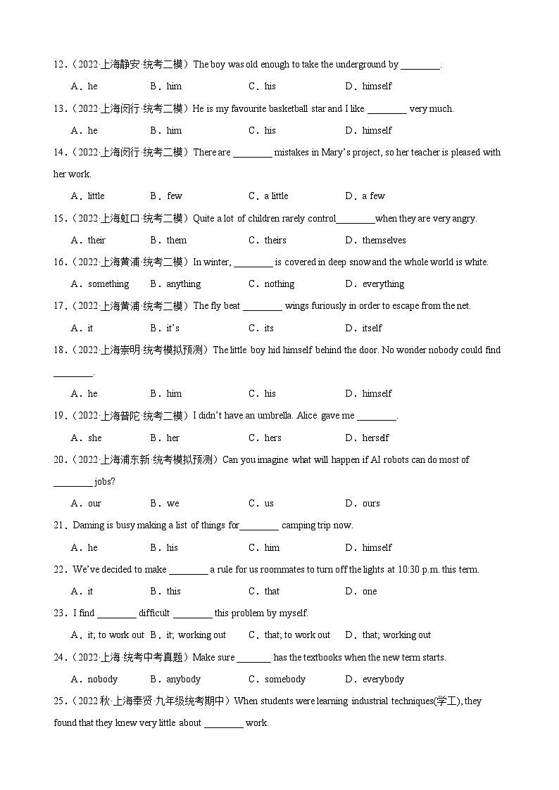 07 代词和限定词提高巩固（模拟真题100道）2025中考英语一轮总复习（上海专用）（解析版）第2页