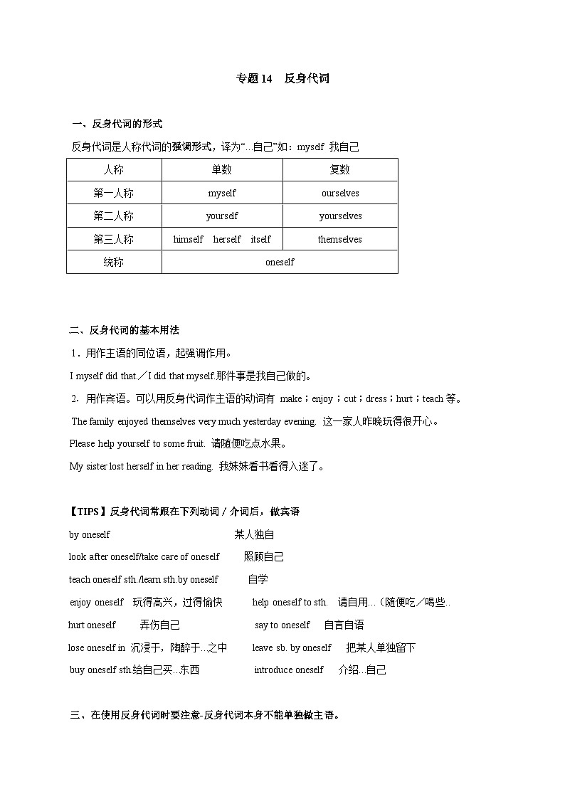 专题14 反身代词-备战2025年中考英语语法专项突破与提升训练第1页