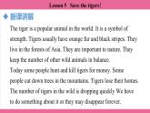 Unit 5 Lesson 5   课件  英语冀教版(2024)七年级上册