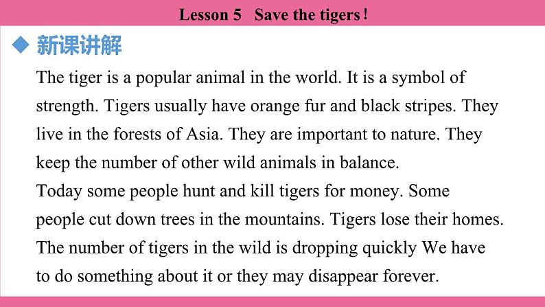 Unit 5 Lesson 5   课件  英语冀教版(2024)七年级上册第4页