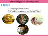 Unit 5 Lesson 6   课件  英语冀教版(2024)七年级上册