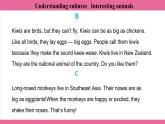 Unit 5 Lesson 6   课件  英语冀教版(2024)七年级上册