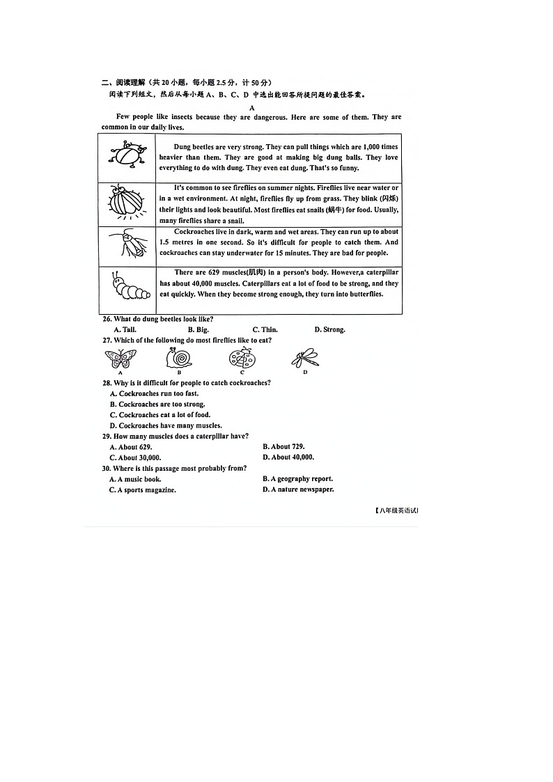 山东省乐陵市2024-2025学年度第一学期8年级期中考试英语试题第3页
