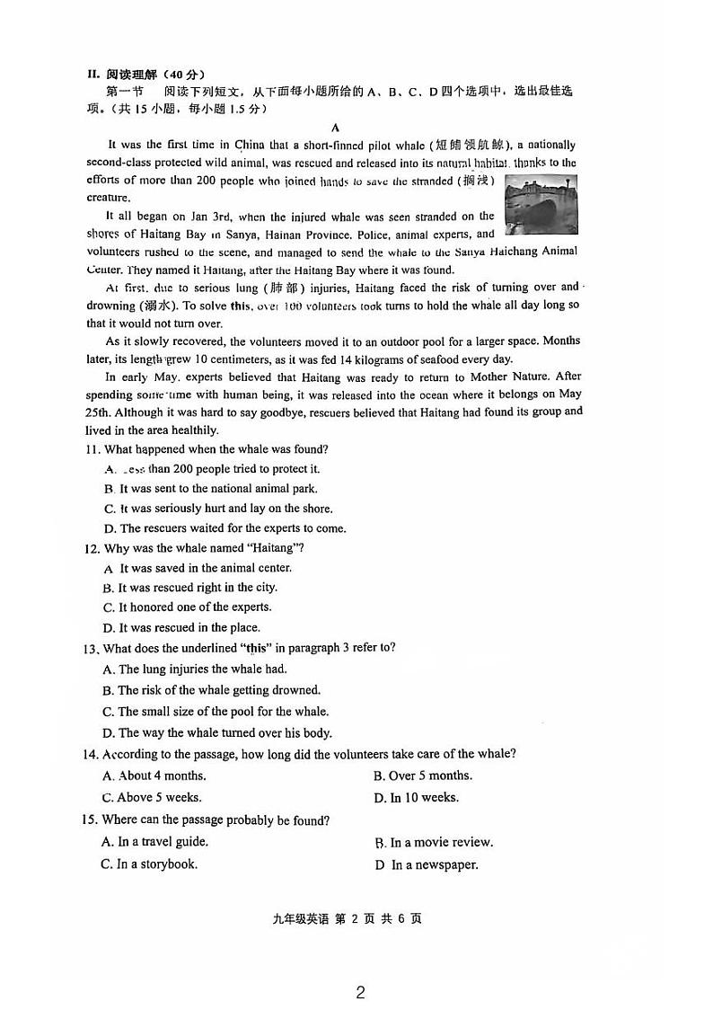 广东省深圳市罗湖区桂园中学2024-2025学年九年级上学期期中英语试题第2页