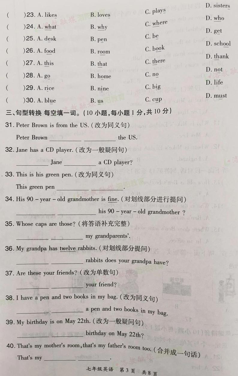 河南省洛阳市老城区2024-2025学年七年级上学期11月期中英语试题03