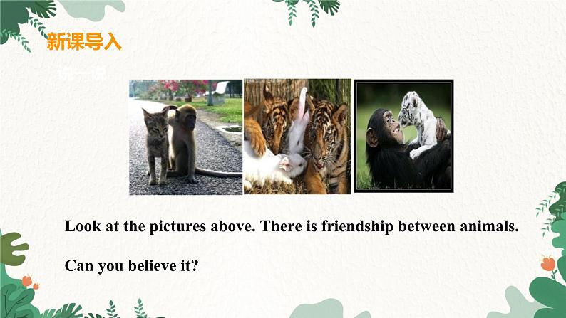 冀教版英语八年级下册 Unit3 Animals Are Our Friends Lesson 18 Friendship Between Animals课件04