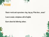 冀教版英语八年级下册 Unit7 Know Our World Lesson 39 Ring Up or Call？课件