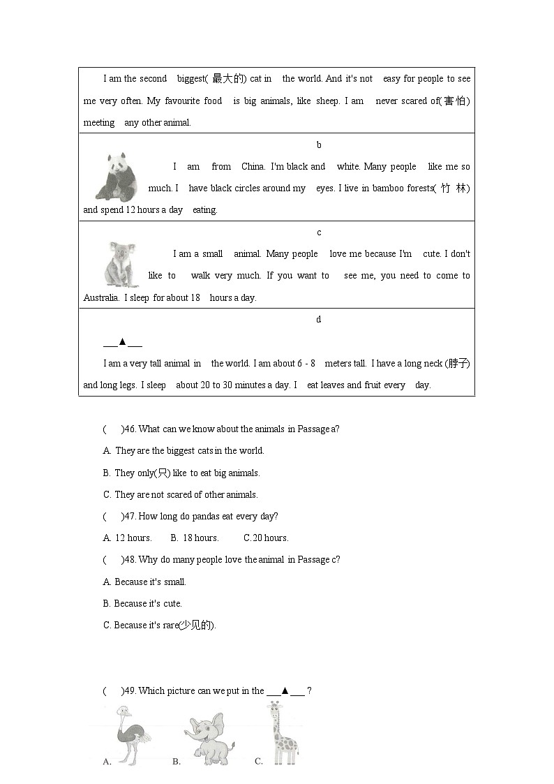 人教版（2024新版）七年级上册英语期中（新题型）模拟测试卷（含答案）第3页