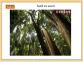 【新教材新课标】仁爱科普版英语七年级上册Unit5 Love mother nature!第6课时Oral communication课件+单元整体教学设计+音视频素材