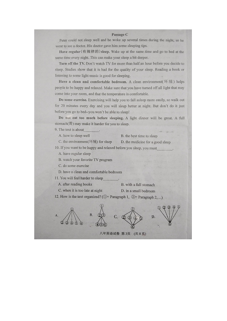 辽宁省抚顺市新宾满族自治县2024-2025学年八年级上学期11月期中英语试题第3页