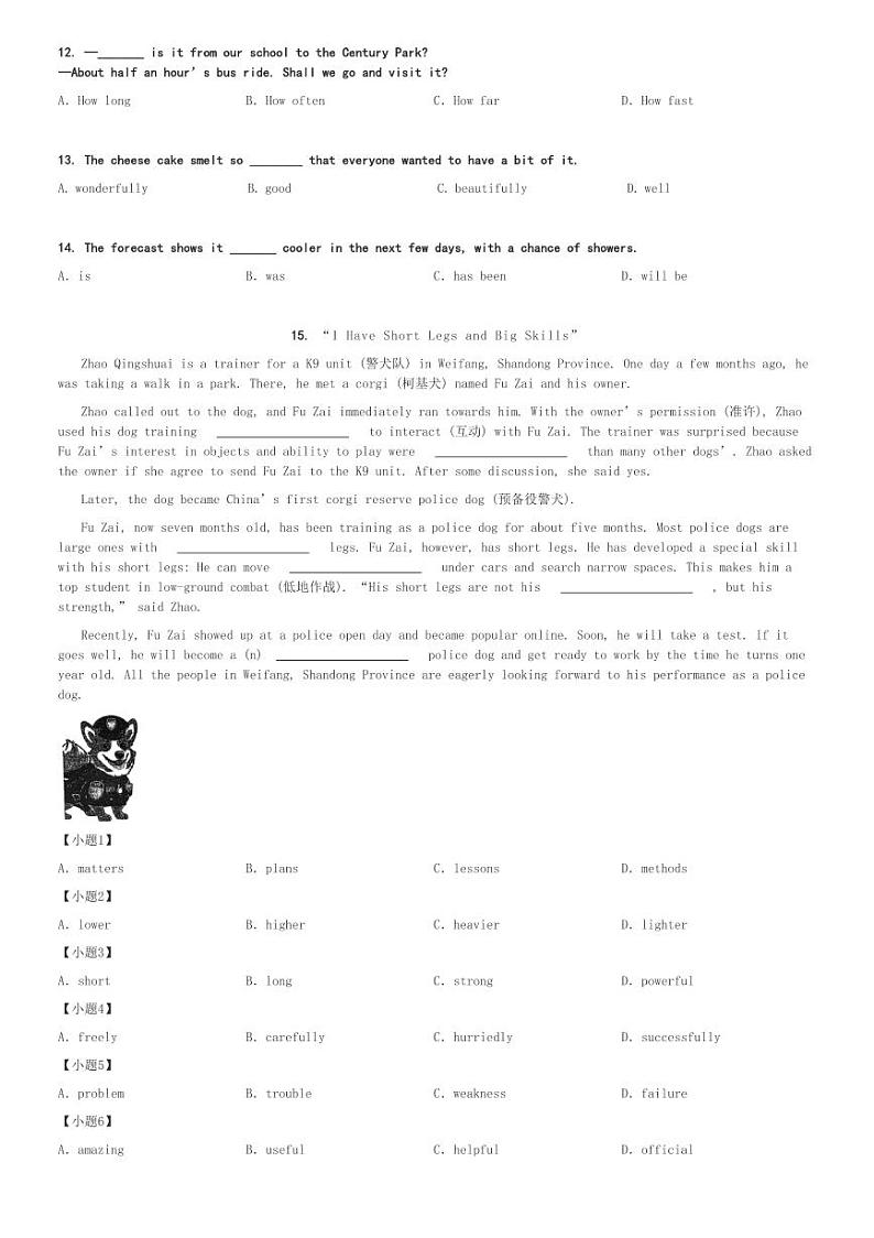 2024～2025学年上海黄浦区初一(上)期中英语试卷[原题+解析]03