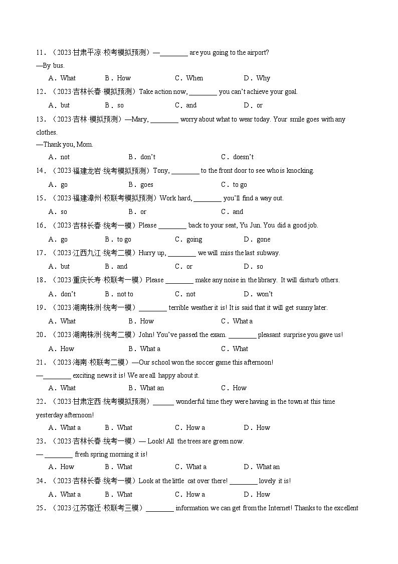 2025年中考英语一轮复习语法练习第20讲 句子的种类（原卷版）第2页